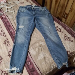Lane bryant jeans